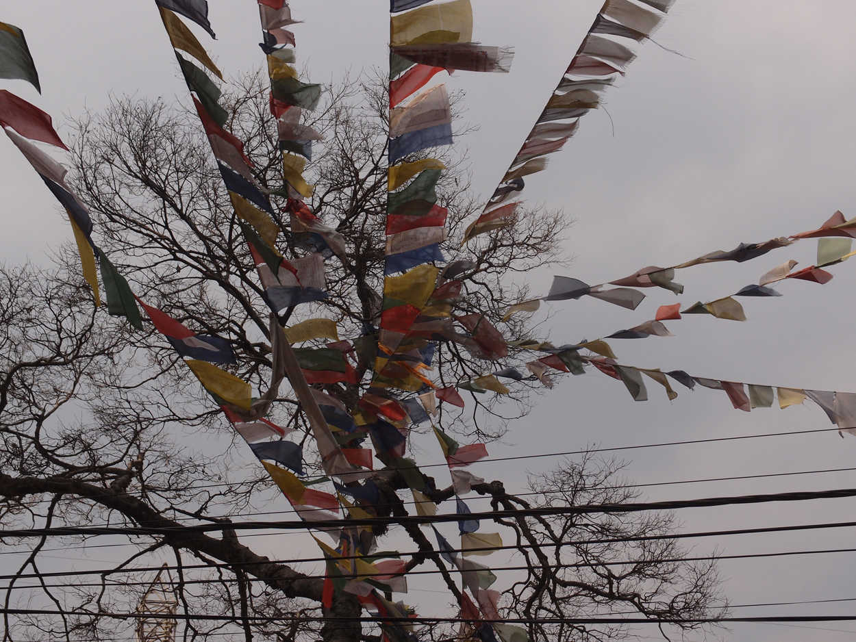 2018-01-14 13 Uhr - Am Tempel (Audio, Foto) 